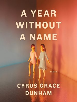 A Year Without a Name - Audiobook